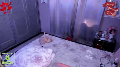 anarosas @ myfreecams on 20240216