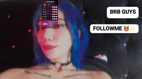 arabella_katt