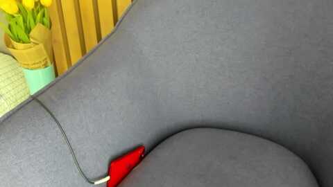 dennyverse @ myfreecams on 20240216