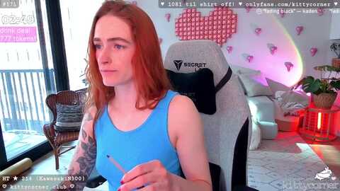 kittycorner @ myfreecams on 20240217