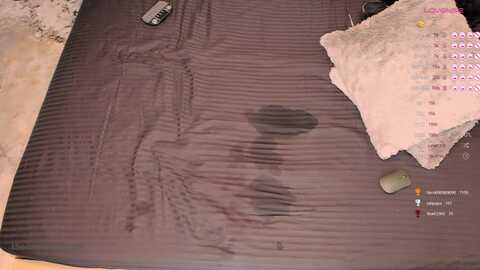 anytimeshow @ myfreecams on 20240218