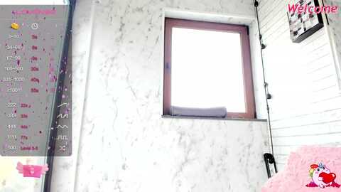 bellem @ myfreecams on 20240219