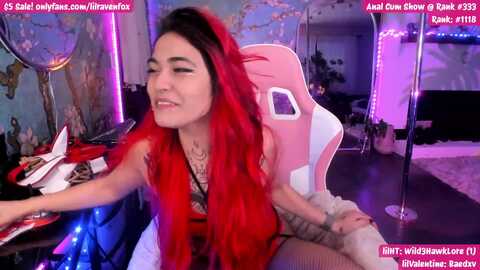 lilravenfox @ myfreecams on 20240219