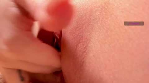 elysi_ @ myfreecams on 20240220