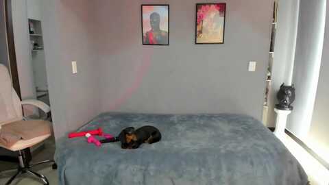 jade7777 @ myfreecams on 20240220