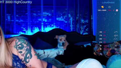 rose_kitten @ myfreecams on 20240222