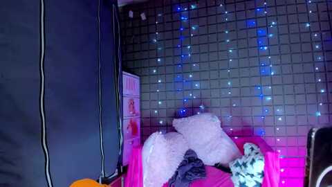 flow_ari @ myfreecams on 20240224