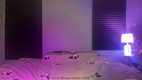 jane_fern @ myfreecams on 20240224