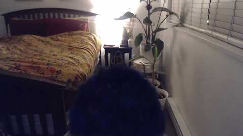 aaaaaghhhhhhh @ myfreecams on 20240227