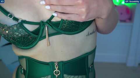 snowkitty @ myfreecams on 20240227