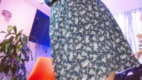 sweetevening @ myfreecams on 20240227