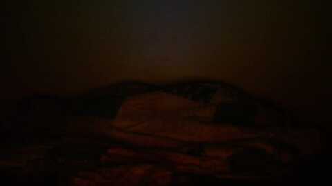 twerkingmiss @ myfreecams on 20240227