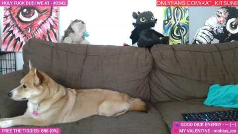 kat_kitsune @ myfreecams on 20240228