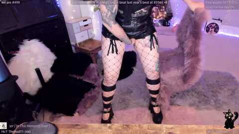 lunawolfie @ myfreecams on 20240228