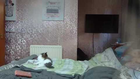 yummymummy39 @ myfreecams on 20240228