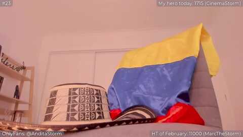 anditastorm @ myfreecams on 20240229