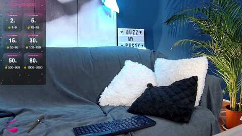 annisagrey @ myfreecams on 20240229