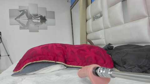msssofia_ @ myfreecams on 20240229