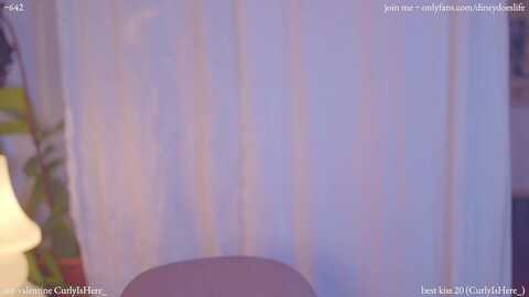 diney_
