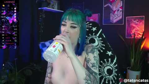 tatsncatss @ myfreecams on 20240301
