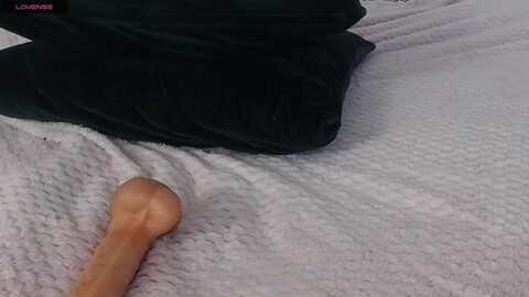 tina_turnerr @ myfreecams on 20240301