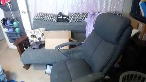 ameliaelendil @ myfreecams on 20240302