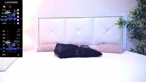 allyhayes_ @ myfreecams on 20240304