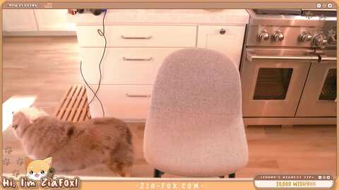 ziafox @ myfreecams on 20240304