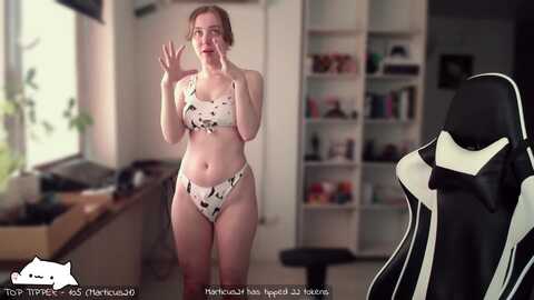meowlexx
