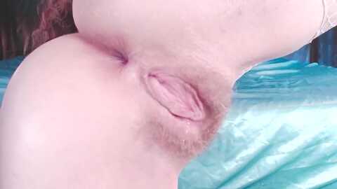 asstrip