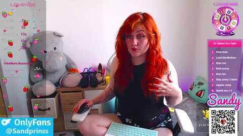 sandyprinss