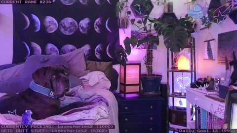 lunarlexxx @ myfreecams on 20240307