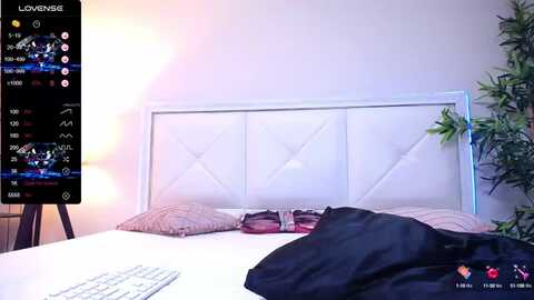 allyhayes_ @ myfreecams on 20240308