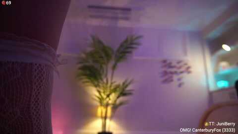 acaiberry @ myfreecams on 20240310