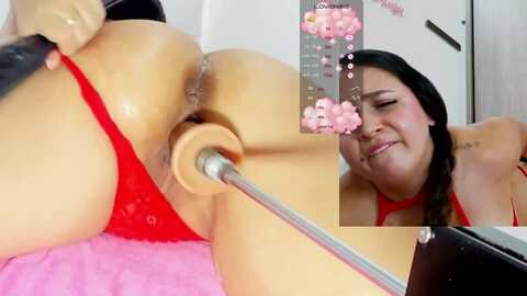 jasllyferrer