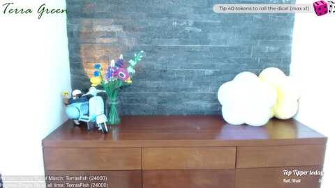 terragreen @ myfreecams on 20240310