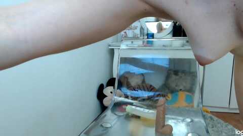 springjewel @ myfreecams on 20240312