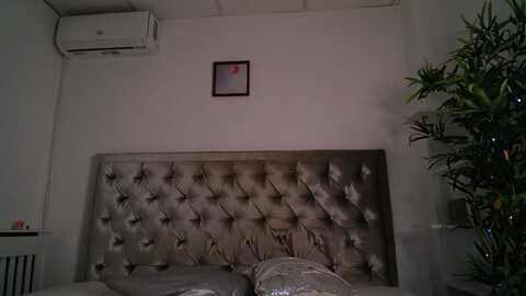 alma_whiteee