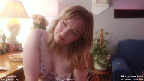 femme @ myfreecams on 20240313