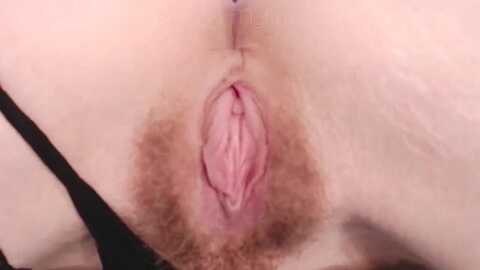 asstrip