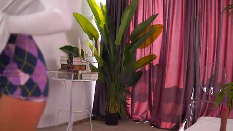cutiedebbie @ myfreecams on 20240316