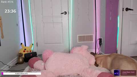 haileecameron @ myfreecams on 20240317
