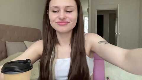 stellasol