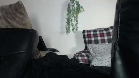 voluptuousddd @ myfreecams on 20240317