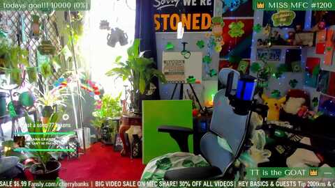 cherrybanks @ myfreecams on 20240318