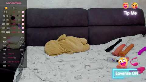 amykentt @ myfreecams on 20240324