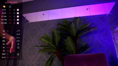 rockndiamond @ myfreecams on 20240324