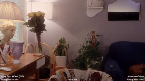 femme @ myfreecams on 20240327