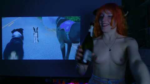 kristiebish @ myfreecams on 20240330