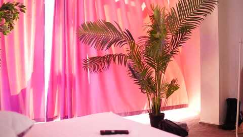nastya_x @ myfreecams on 20240402
